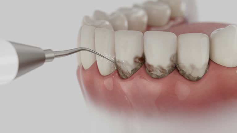 Reliable Dental contractor in Berwyn, PA by Dentist Open Now